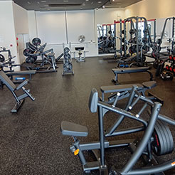 フリーウエイト各種